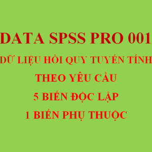 DATA SPSS PRO 001