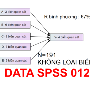 DATA SPSS 012