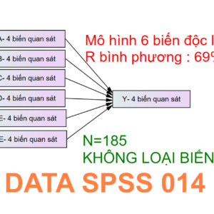 DATA SPSS 014