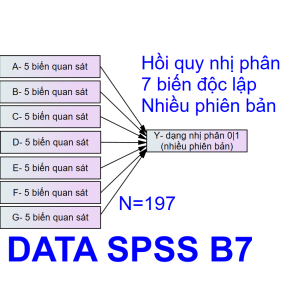Bộ DATA SPSS B7 | Thích hợp với mô hình 4-5-6-7 biến độc lập