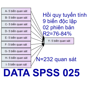 Bộ DATA SPSS 025 | Thích hợp mô hình 5-6-7-8-9 biến độc lập