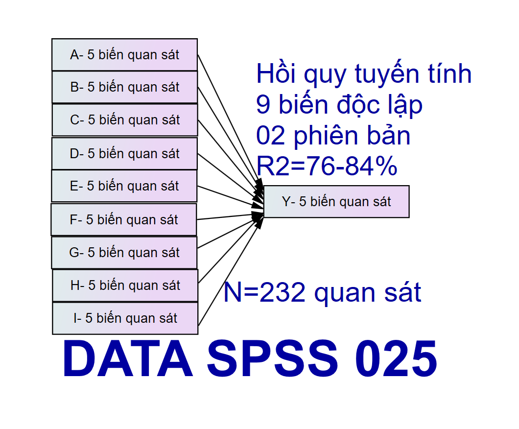 Bộ DATA SPSS 025 | Thích hợp mô hình 5-6-7-8-9 biến độc lập