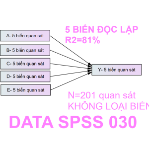 Bộ DATA SPSS 030 | Thích hợp cho mô hình 2-3-4-5 biến độc lập