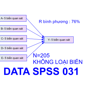 Bộ DATA SPSS 031 | Thích hợp cho mô hình 2-3-4-5 biến độc lập