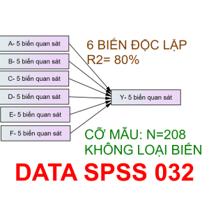 Bộ DATA SPSS 032 | Thích hợp cho mô hình 2-3-4-5-6 biến độc lập