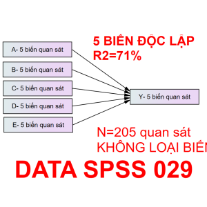 Bộ DATA SPSS 029 | Thích hợp cho mô hình 3-4-5 biến độc lập