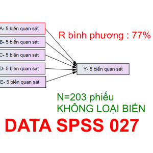 DATA SPSS 027 | Thích hợp cho mô hình 1-2-3-4-5 biến độc lập