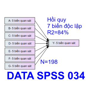Bộ DATA SPSS 034 | Thích hợp cho mô hình 2-3-4-5-6-7 biến độc lập